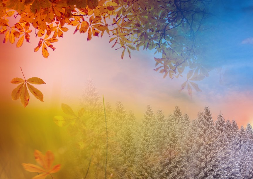 Digital composition of autumn and winter season