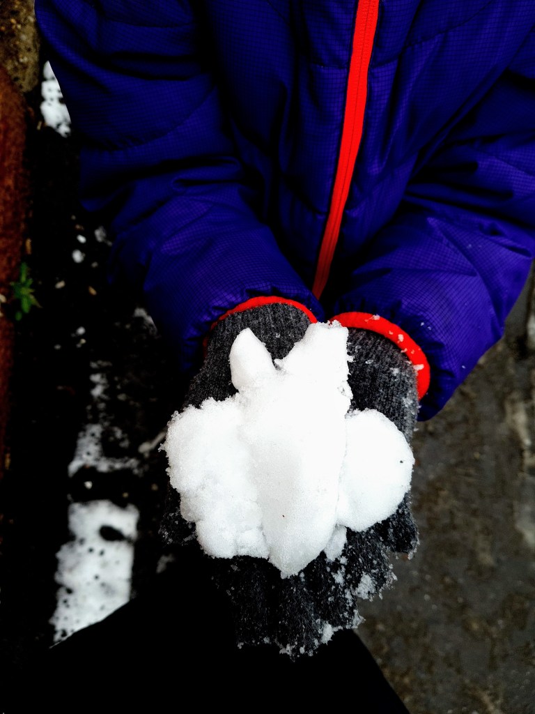 fluturas de zapada in martie